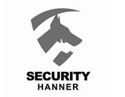 security-hanner